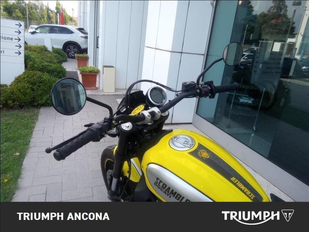 Ducati Scrambler 800 Flat Track Pro (2016 - 17) (3)