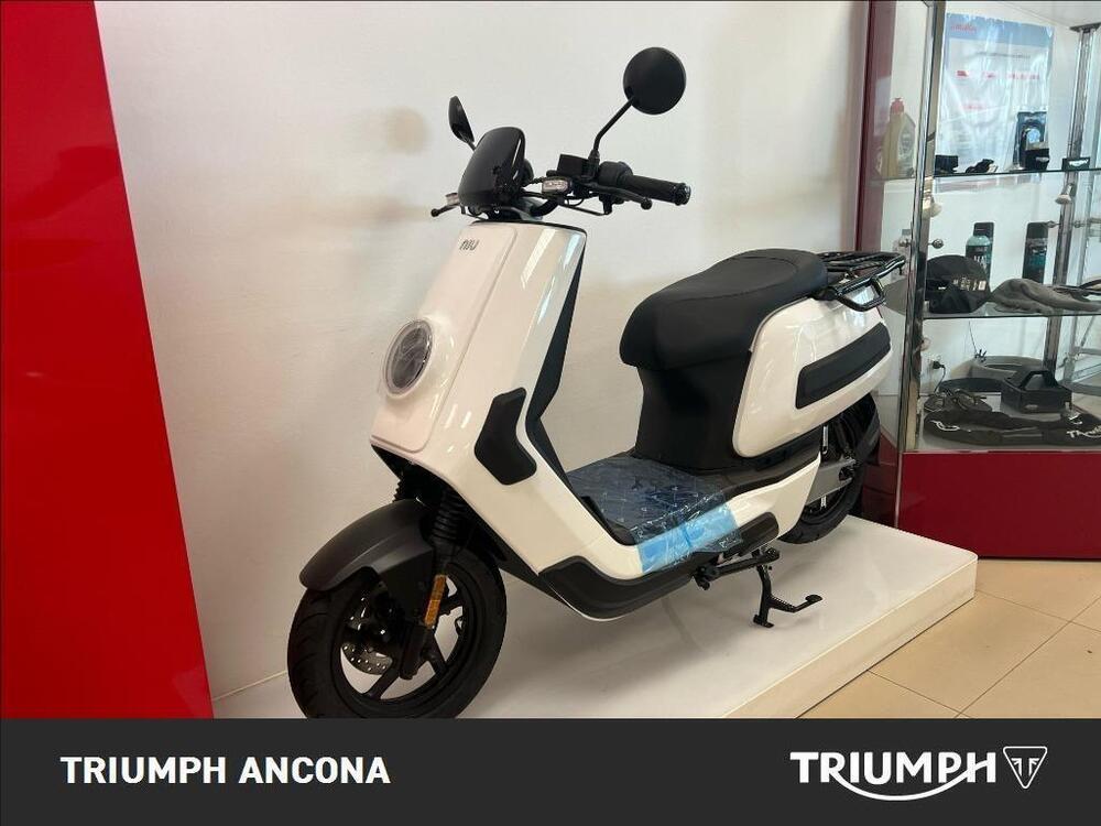 Niu NQi Cargo SR (2020 - 24)