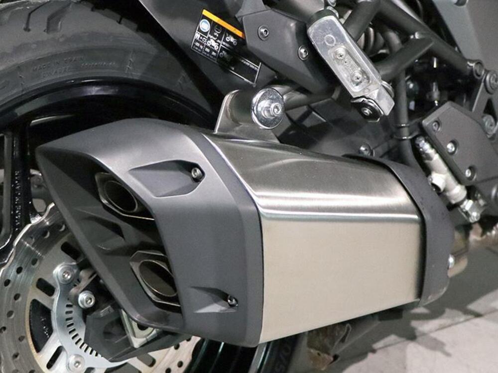 Kawasaki Versys 1000 (2019 - 20) (4)