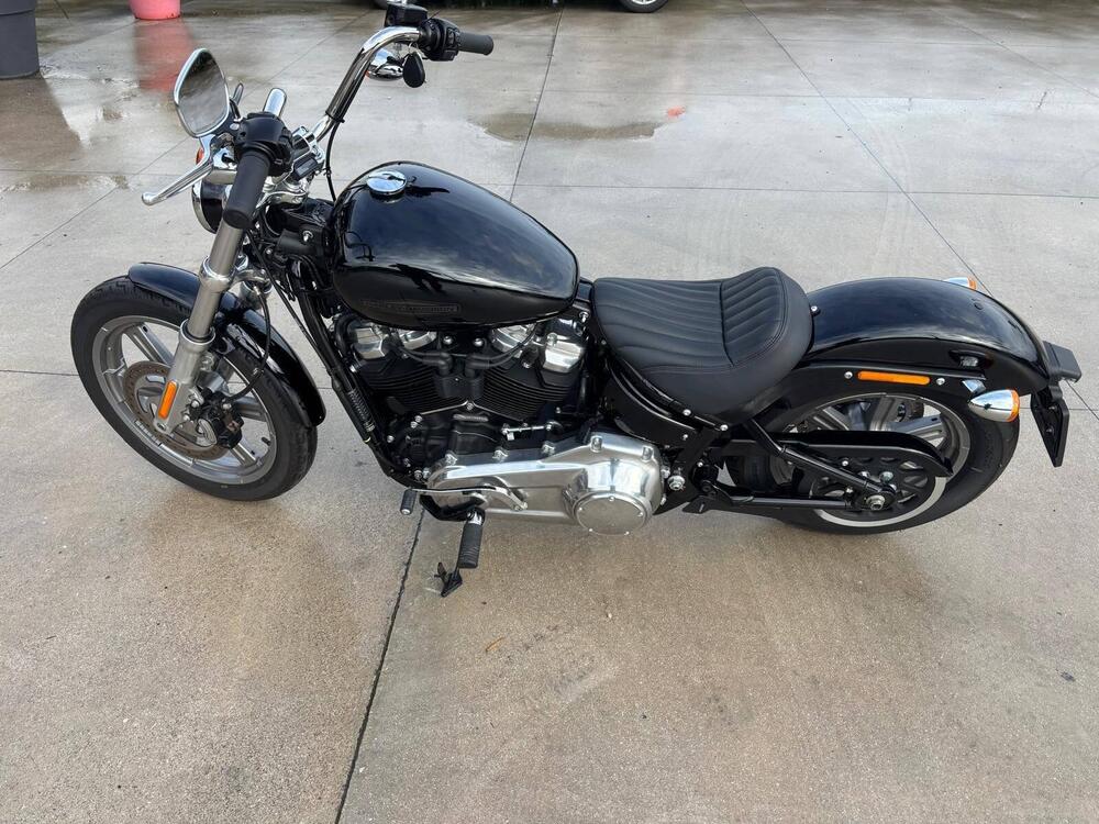 Harley-Davidson Softail Standard (2021 - 25)