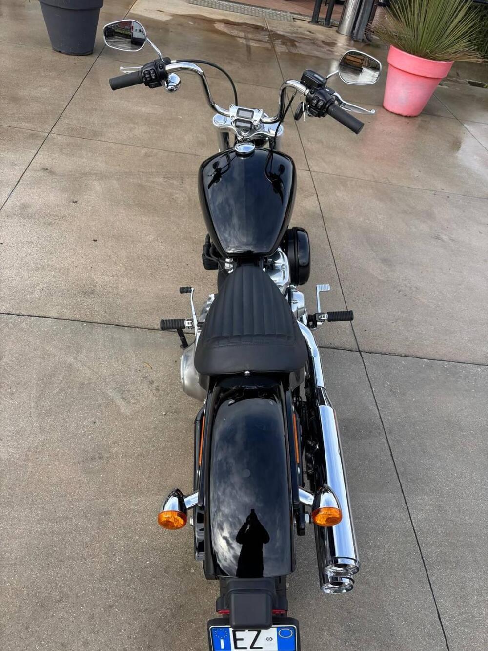 Harley-Davidson Softail Standard (2021 - 25) (2)