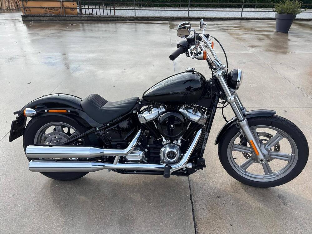 Harley-Davidson Softail Standard (2021 - 25) (3)