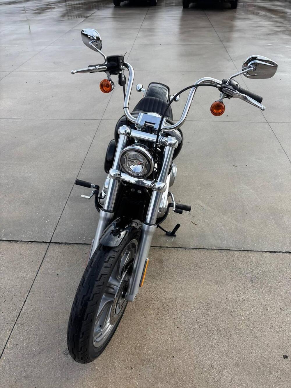 Harley-Davidson Softail Standard (2021 - 25) (4)