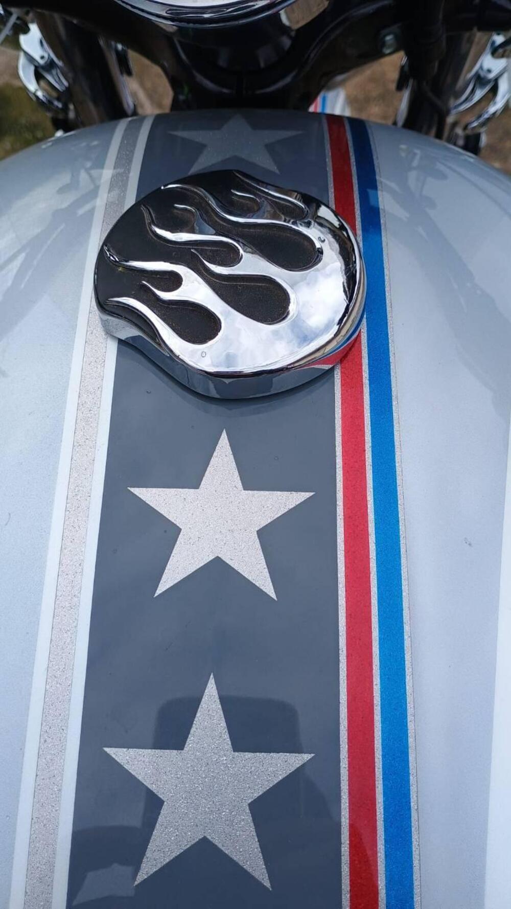 Harley-Davidson 1200 Custom (2007 - 13) - XL 1200C (3)