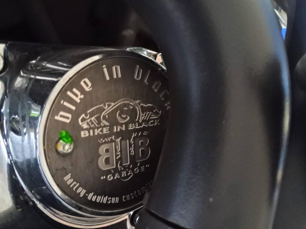 Harley-Davidson 1200 Custom (2007 - 13) - XL 1200C (5)