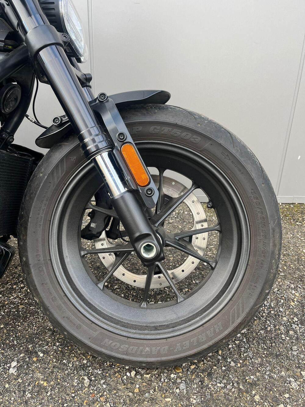 Harley-Davidson Sportster S (2022 - 24) (2)