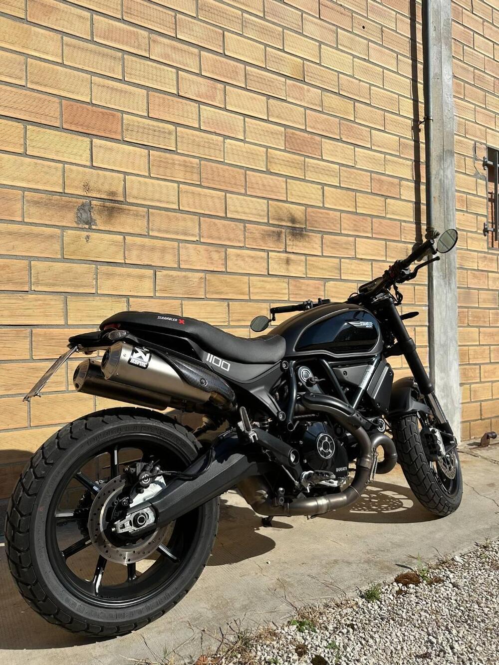 Ducati Scrambler 1100 (2018 - 20) (2)