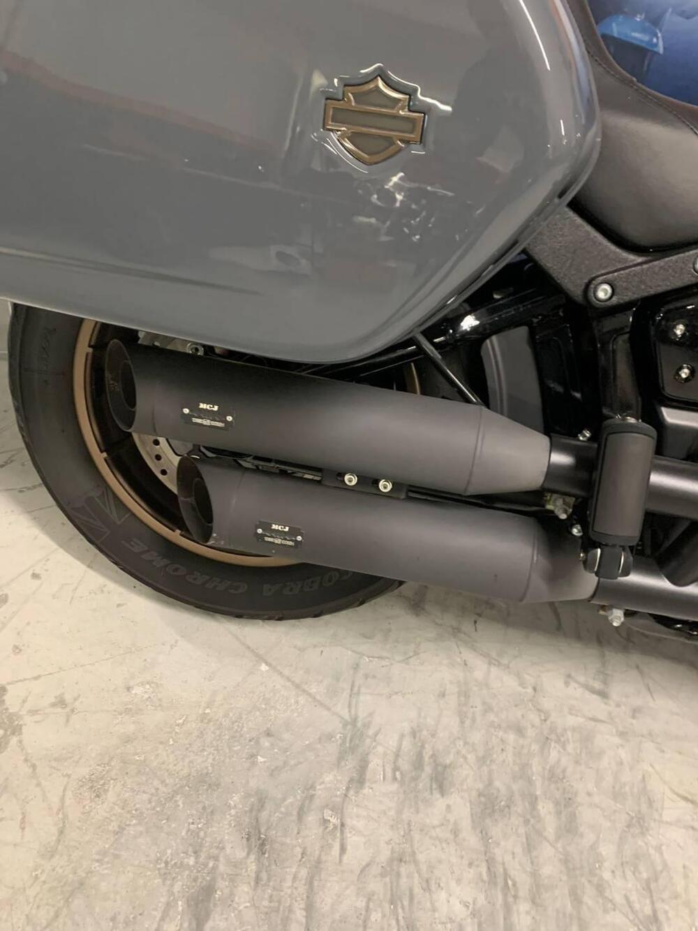 Harley-Davidson Low Rider ST (2022 - 24) (5)