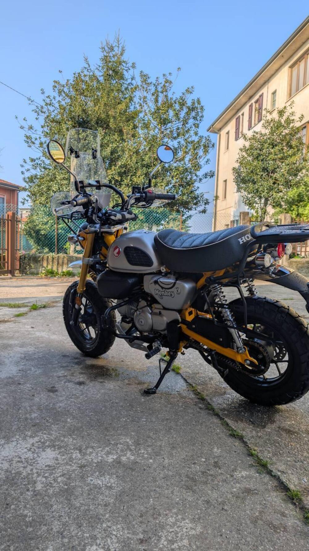 Honda Monkey 125 (2025 - 26) (4)