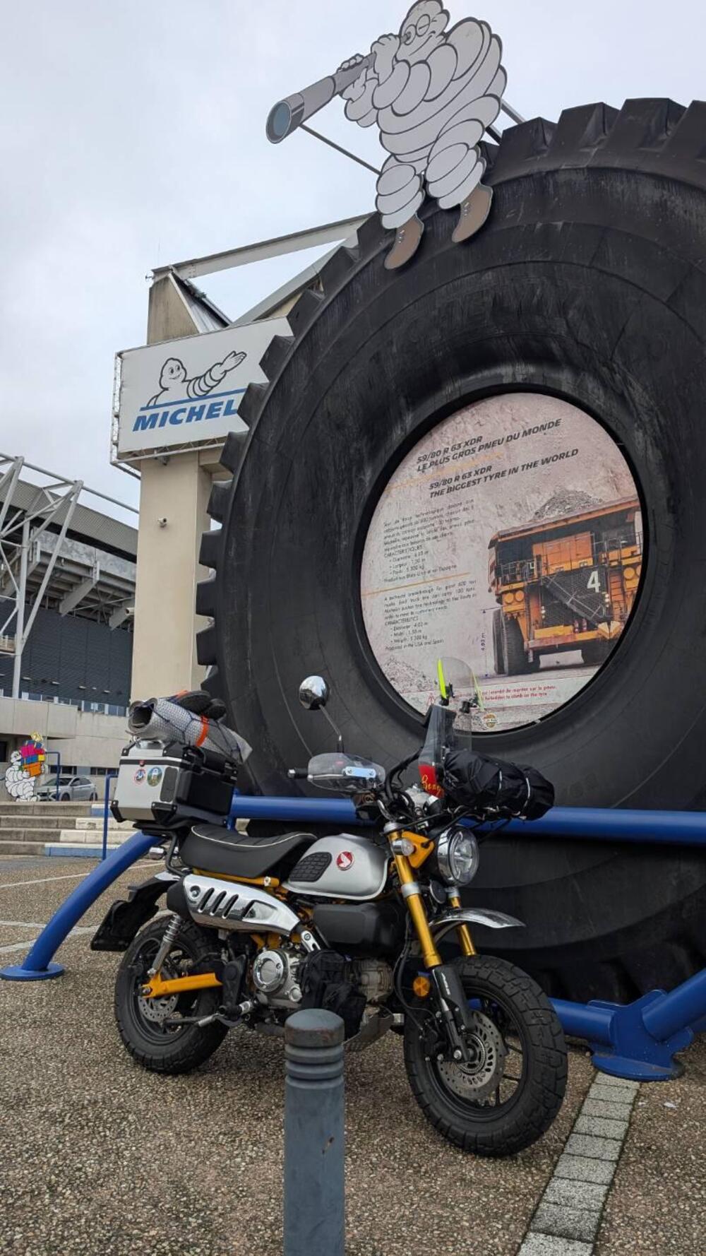 Honda Monkey 125 (2025 - 26) (10)