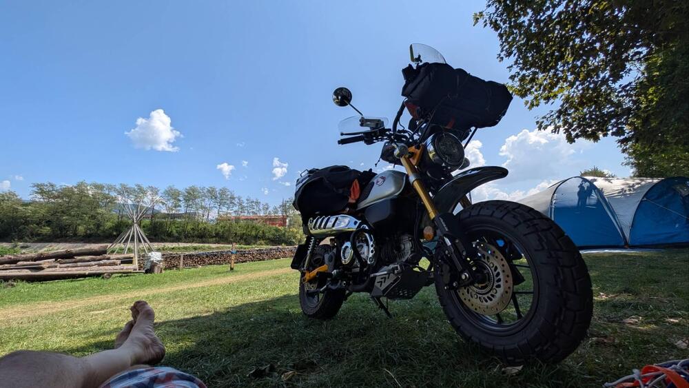 Honda Monkey 125 (2025 - 26) (13)