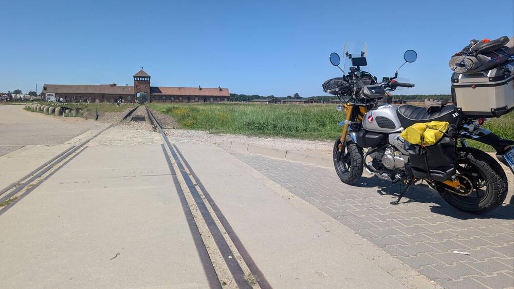 Honda Monkey 125 (2025 - 26) (15)