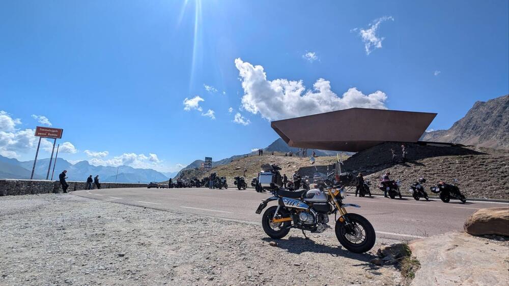 Honda Monkey 125 (2025 - 26) (17)