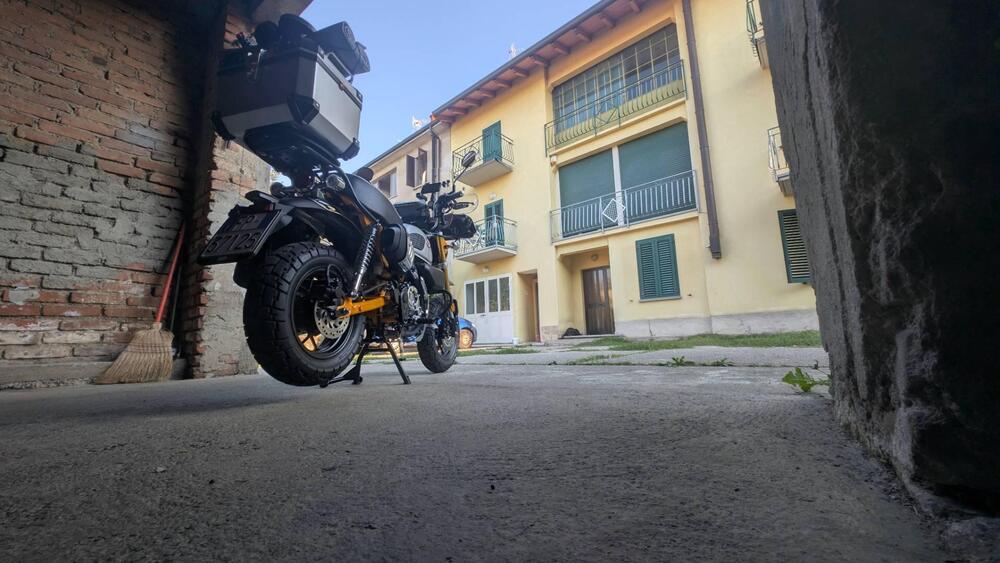 Honda Monkey 125 (2025 - 26) (9)