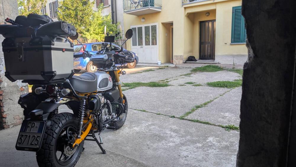 Honda Monkey 125 (2025 - 26) (8)