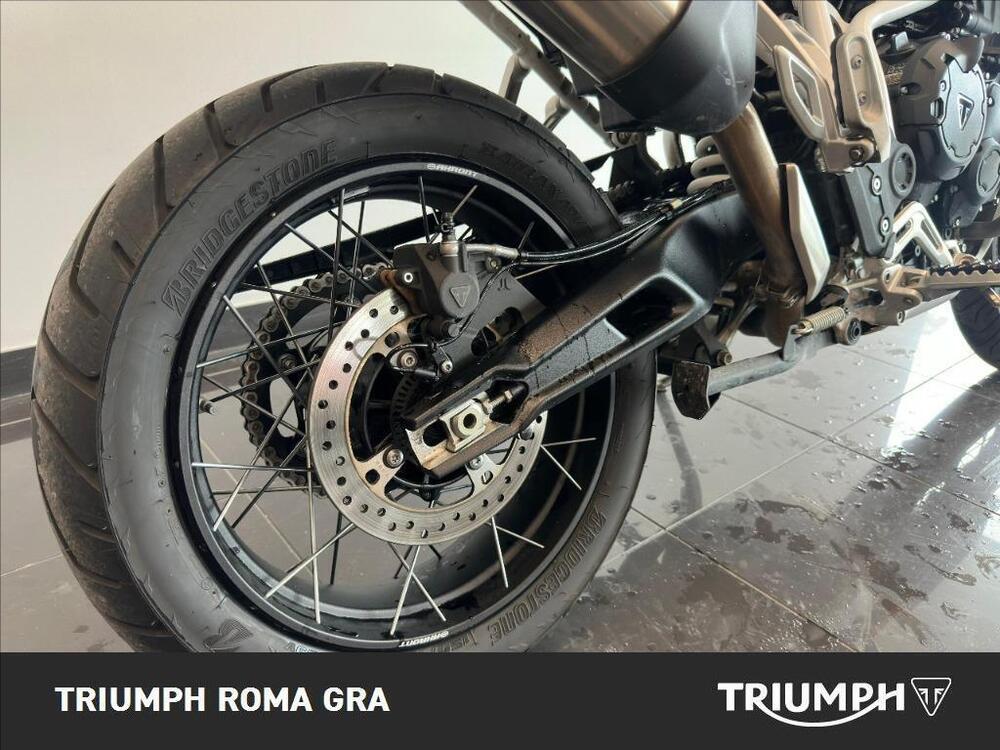 Triumph Tiger 900 Rally Pro (2024 - 26) (7)