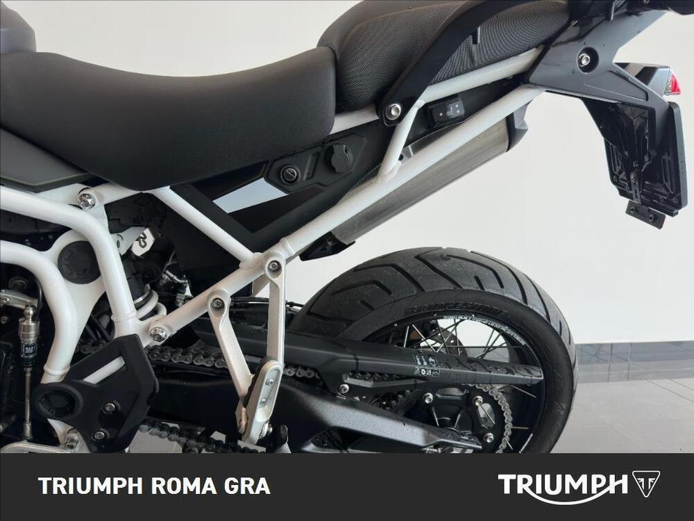 Triumph Tiger 900 Rally Pro (2024 - 26) (11)