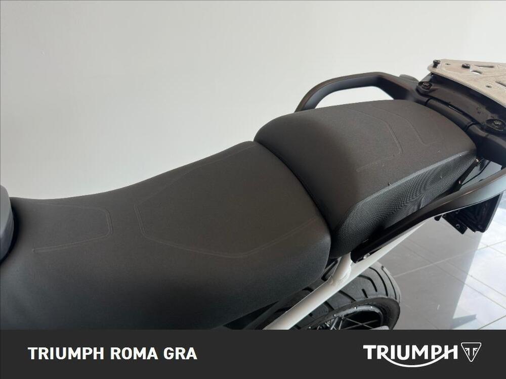 Triumph Tiger 900 Rally Pro (2024 - 26) (14)