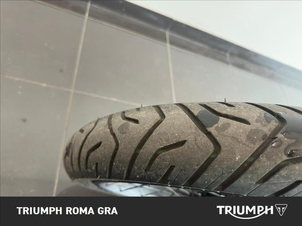 Triumph Tiger 900 Rally Pro (2024 - 26) (17)