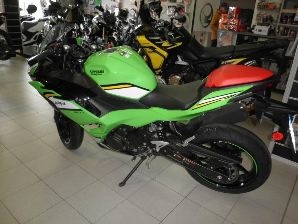 Kawasaki Ninja 500 SE (2024 - 26) (4)