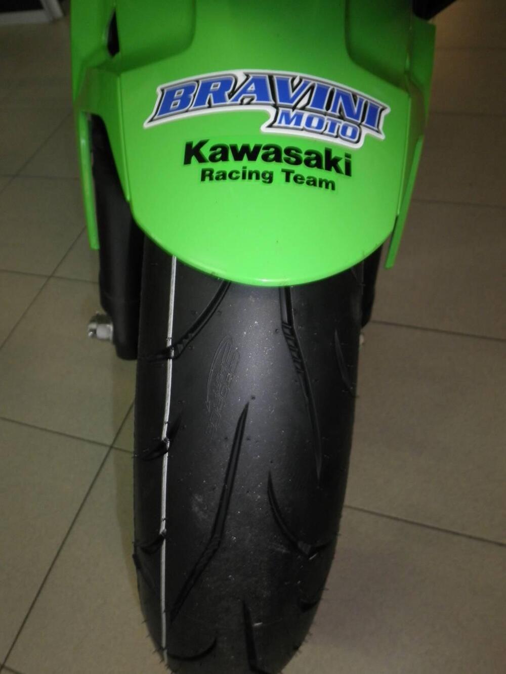 Kawasaki Ninja 500 SE (2024 - 26) (7)