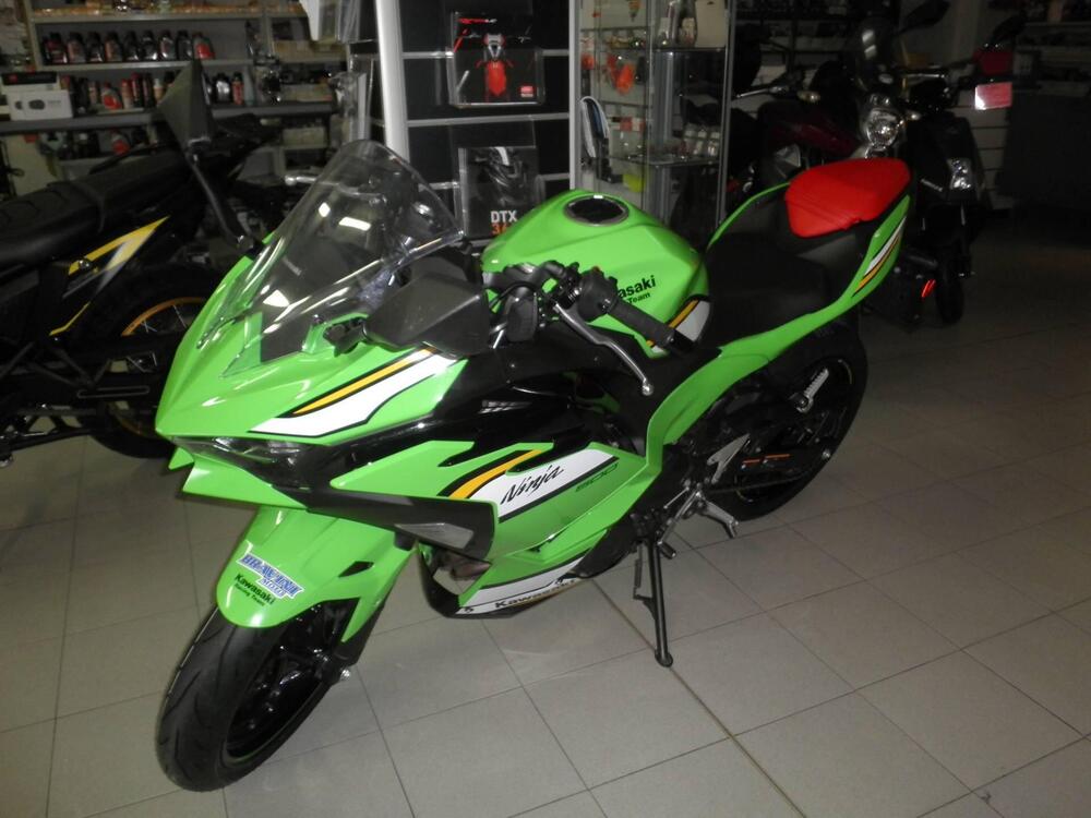 Kawasaki Ninja 500 SE (2024 - 26) (9)