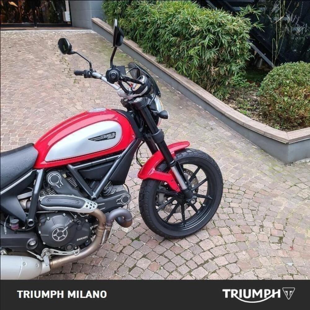 Ducati Scrambler 800 Icon (2015 - 16) (3)
