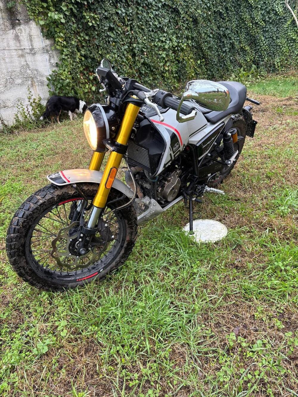 FB Mondial HPS 125 (2020 - 24) (8)