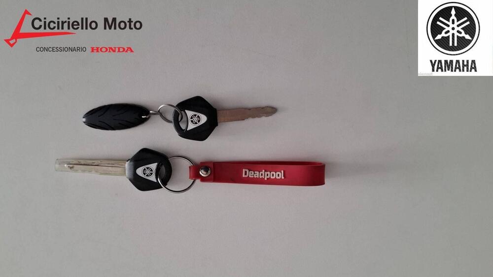 Yamaha MT-09 (2021 - 23) (3)