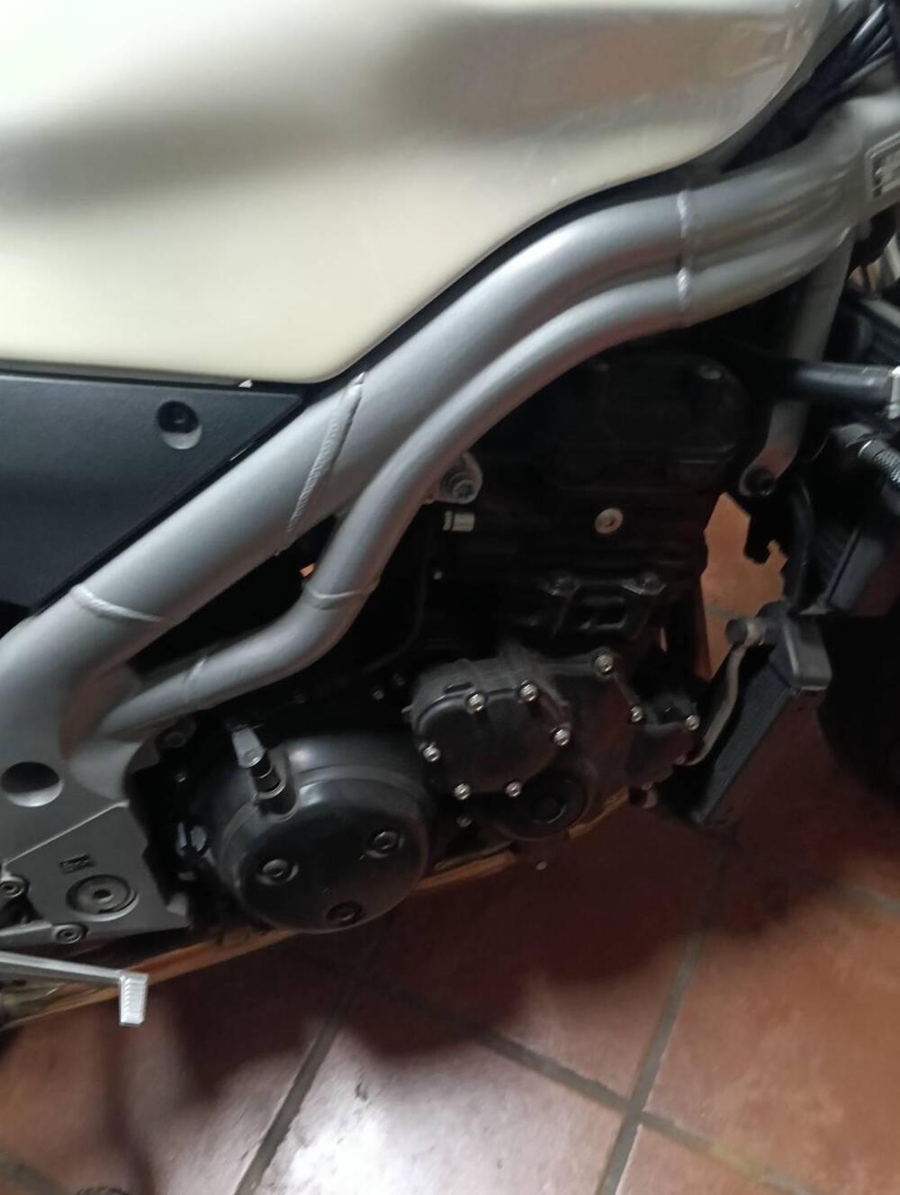 Triumph Speed Triple 955 (2002 - 04) (7)