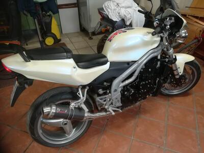 Triumph Speed Triple 955 (2002 - 04) usata