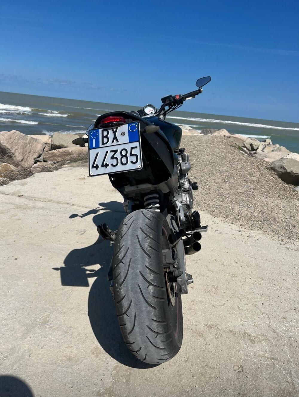 Honda Hornet 600 (2003 - 04) (2)