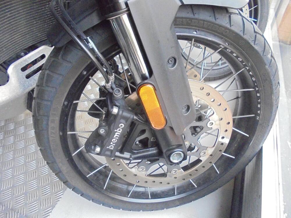 Harley-Davidson Pan America 1250 Special (2020 - 25) (5)