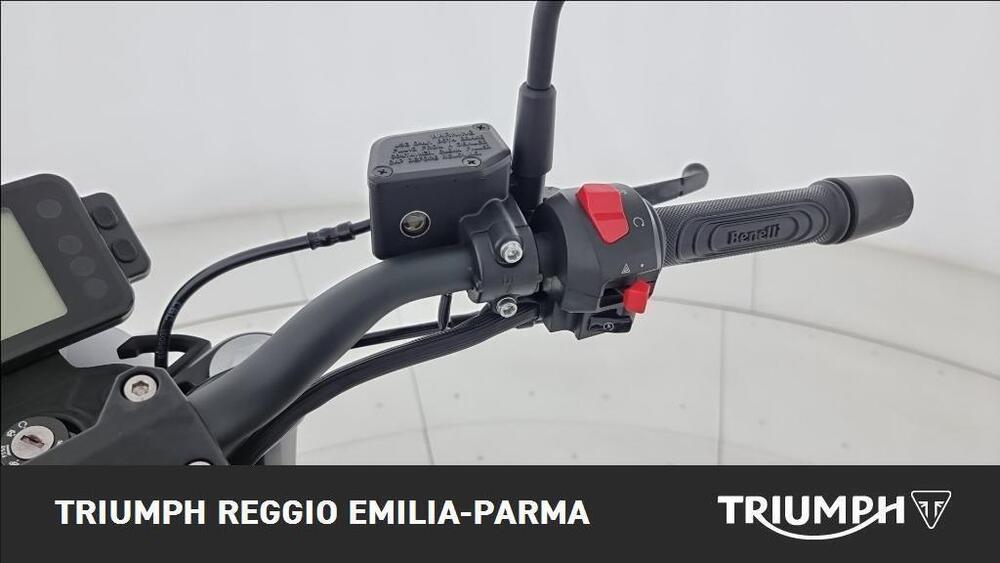 Benelli Leoncino 125 (2022 - 25) (10)