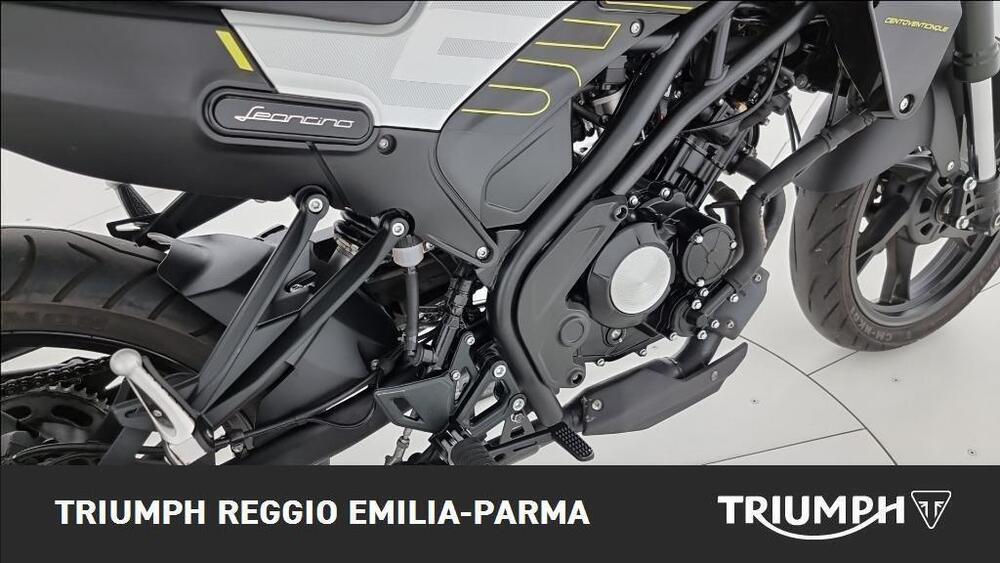 Benelli Leoncino 125 (2022 - 25) (18)