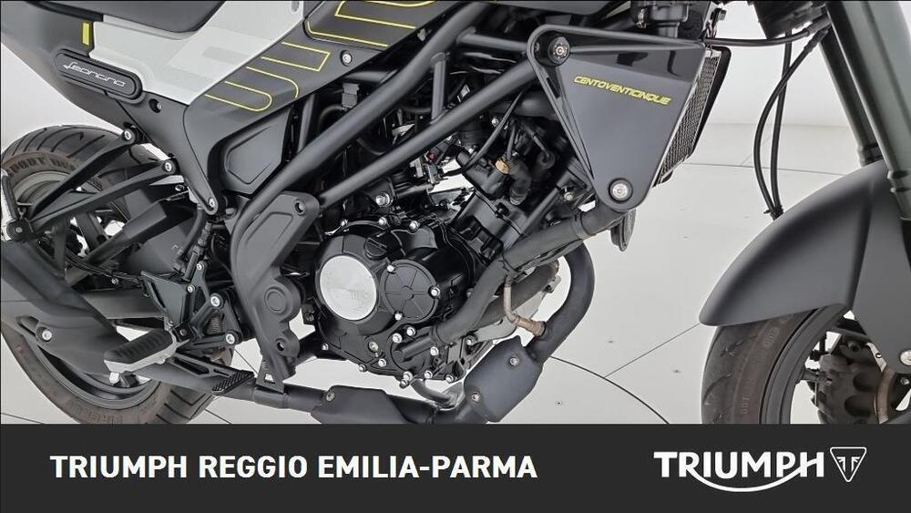 Benelli Leoncino 125 (2022 - 25) (19)