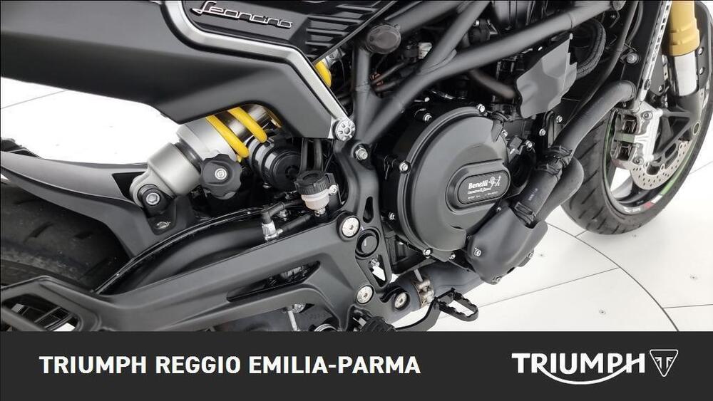 Benelli Leoncino 800 (2022 - 26) (18)