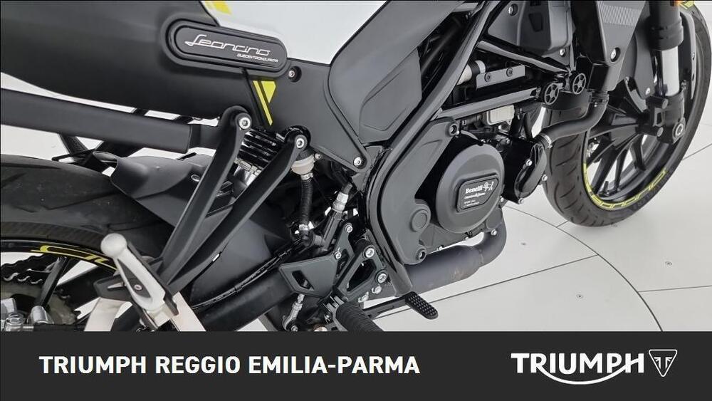 Benelli Leoncino 250 (2021 - 25) (17)