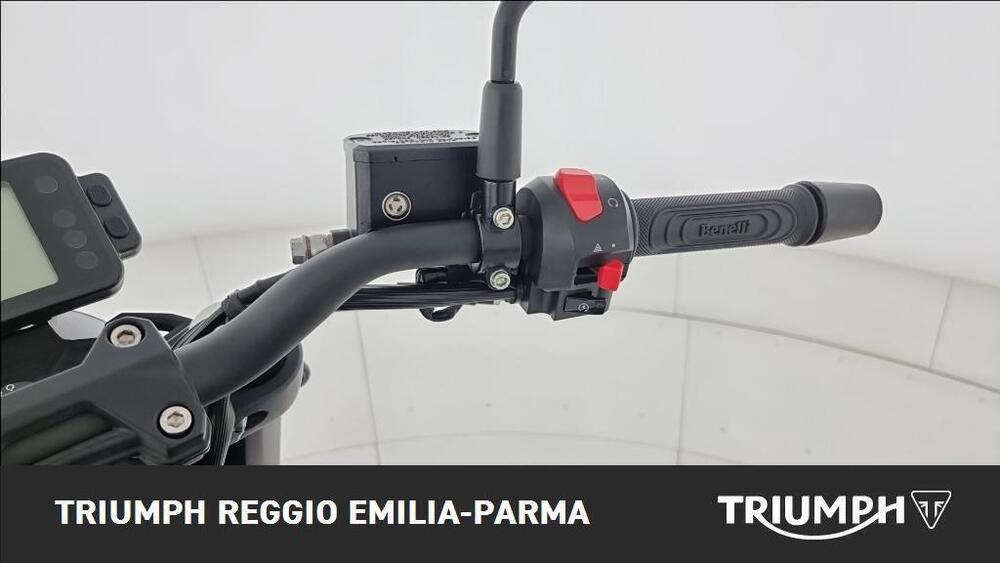 Benelli Leoncino 250 (2021 - 25) (9)