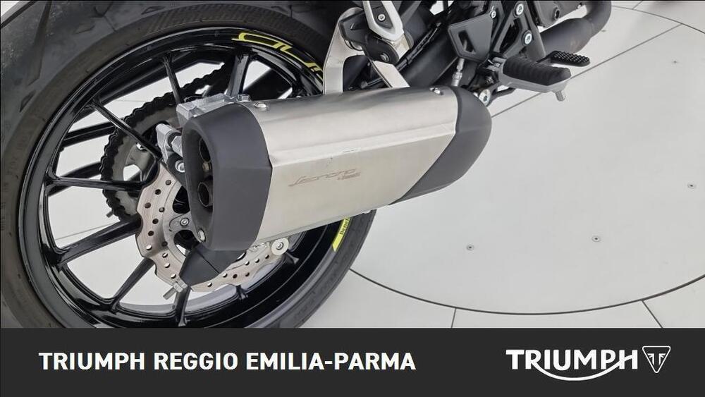 Benelli Leoncino 250 (2021 - 25) (16)