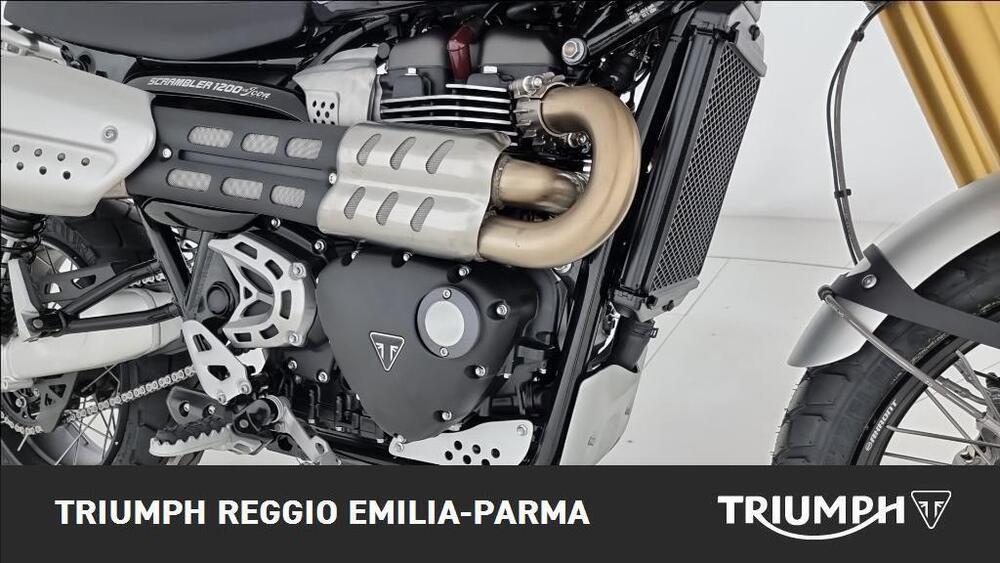 Triumph Scrambler 1200 XE Icon Edition (2025 - 26) (21)
