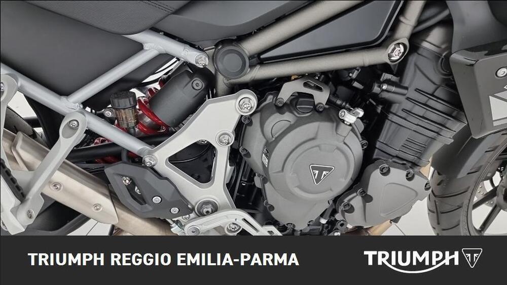 Triumph Tiger 1200 GT Pro (2024 - 26) (18)