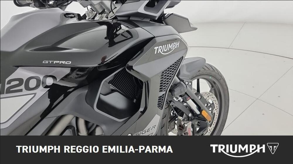 Triumph Tiger 1200 GT Pro (2024 - 26) (21)