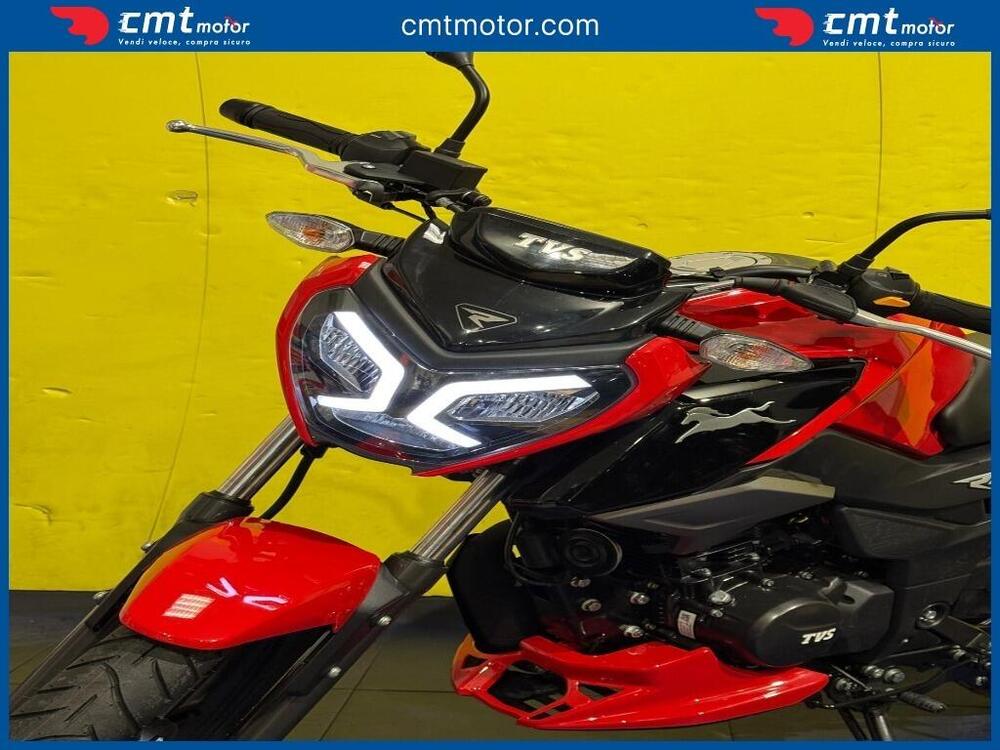 TVS Motor Raider 125 (2024 - 26) (6)