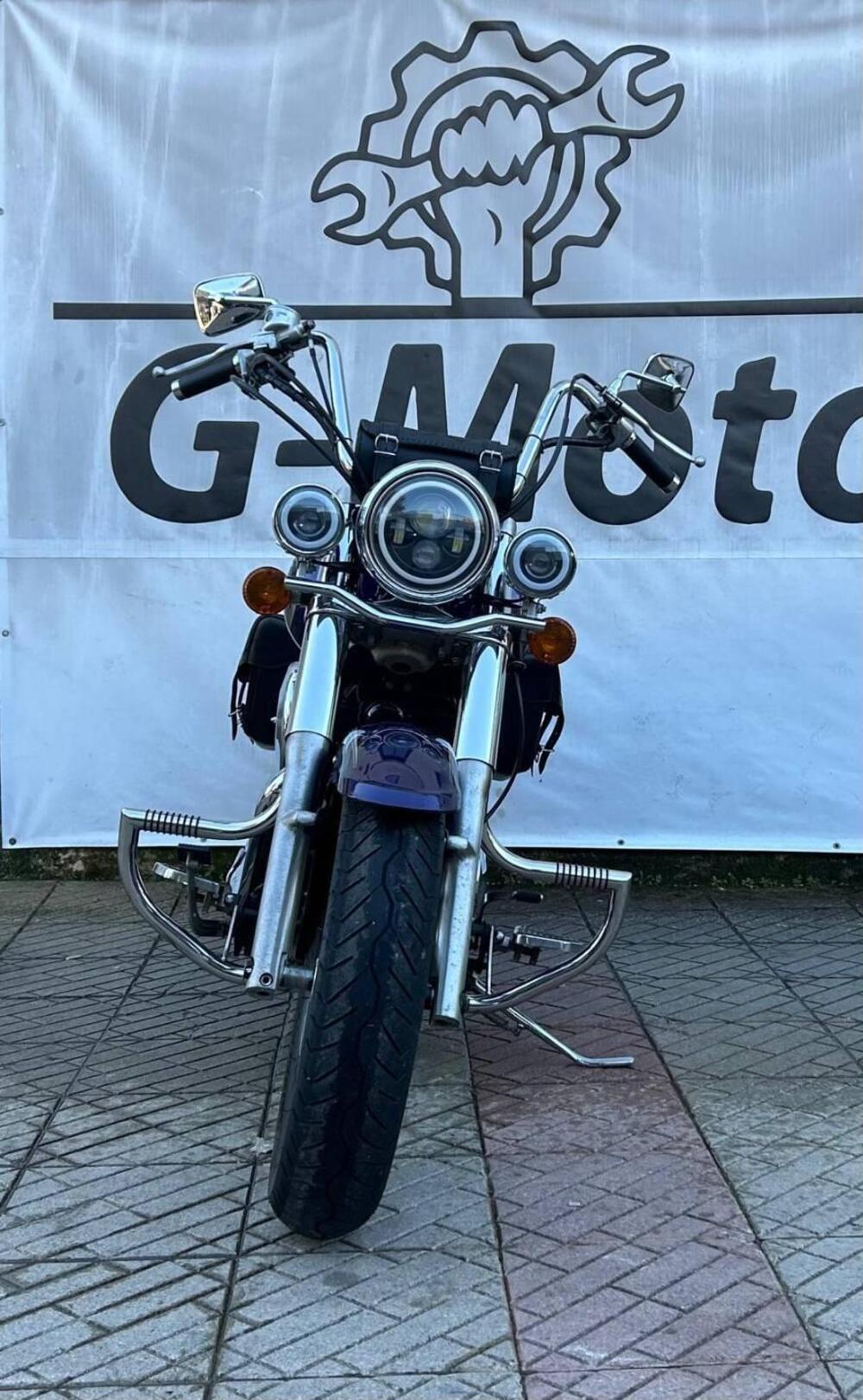 Kawasaki VN 800 Classic (2001 - 06) (3)