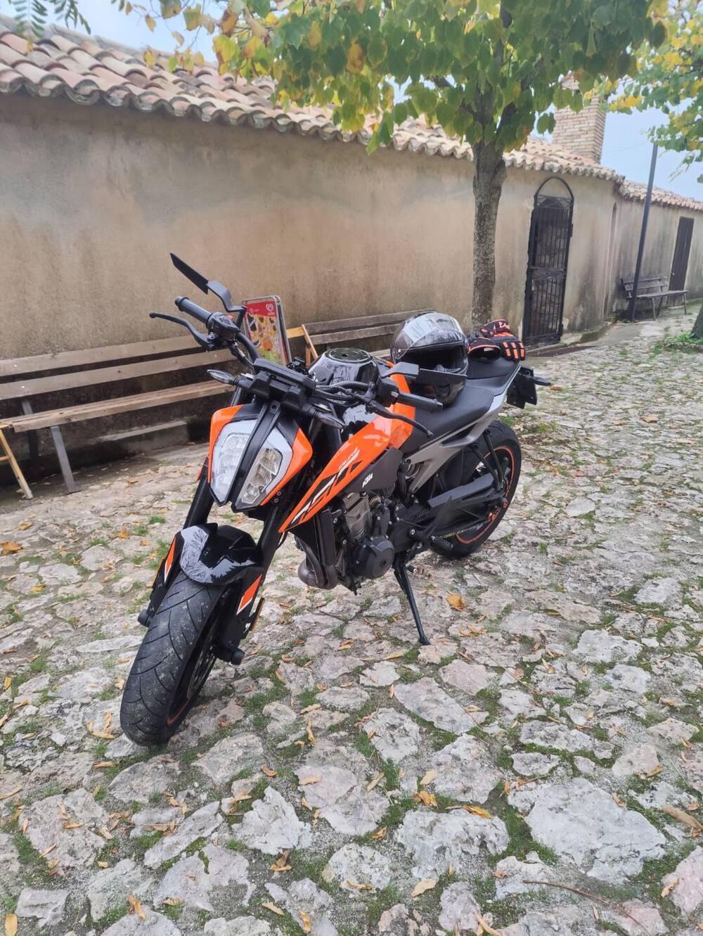 KTM 790 Duke L (2023 - 24) (2)