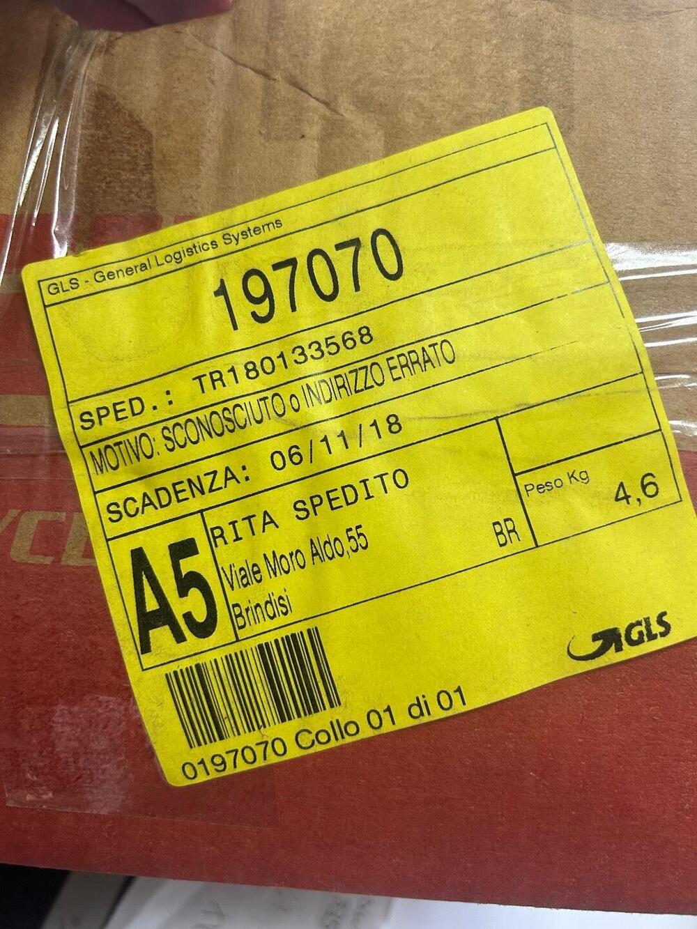 Schienale per Honda Foresight 250 Givi (2)