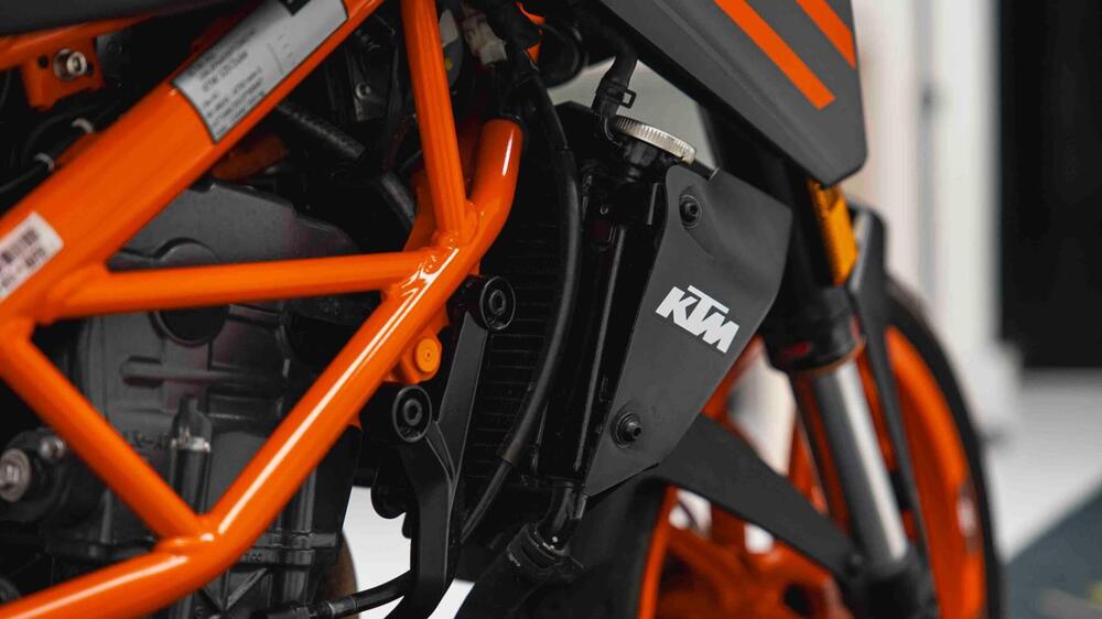 KTM 125 Duke (2024 - 25) (12)