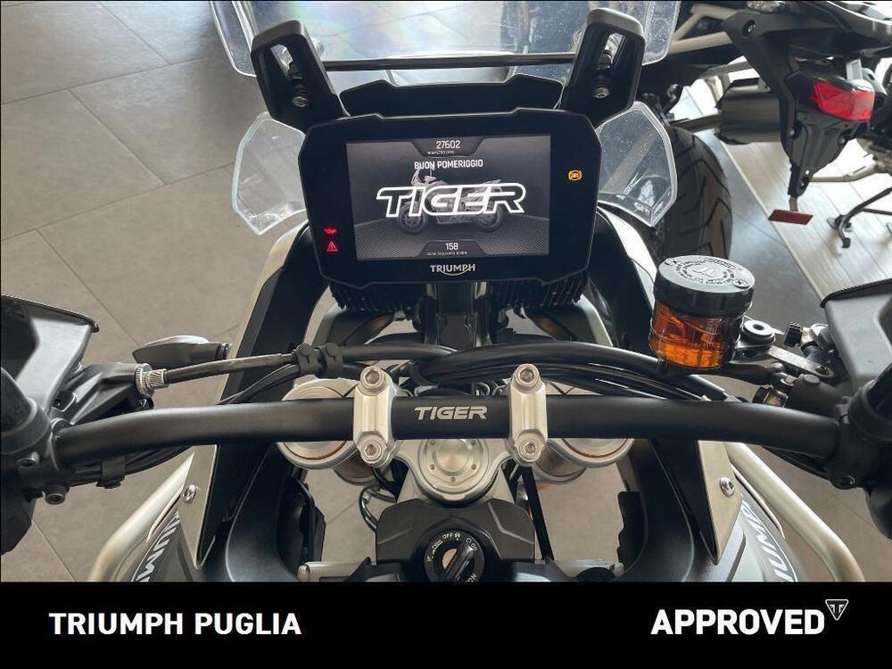 Triumph Tiger 900 Rally Pro (2020 - 23) (3)
