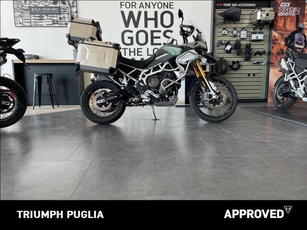 Triumph Tiger 900 Rally Pro (2020 - 23) (4)
